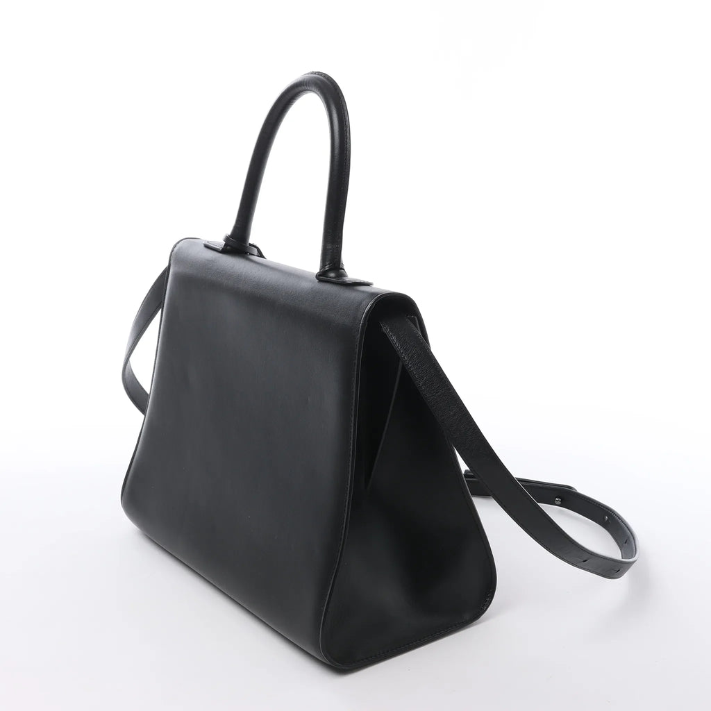 Delvaux Brillant MM Leather 2Way Handbag in Black