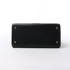 Delvaux Brillant MM Leather 2Way Handbag in Black