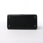 Delvaux Brillant MM Leather 2Way Handbag in Black
