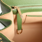Delvaux Brillant MM Leather 2Way Handbag in Green
