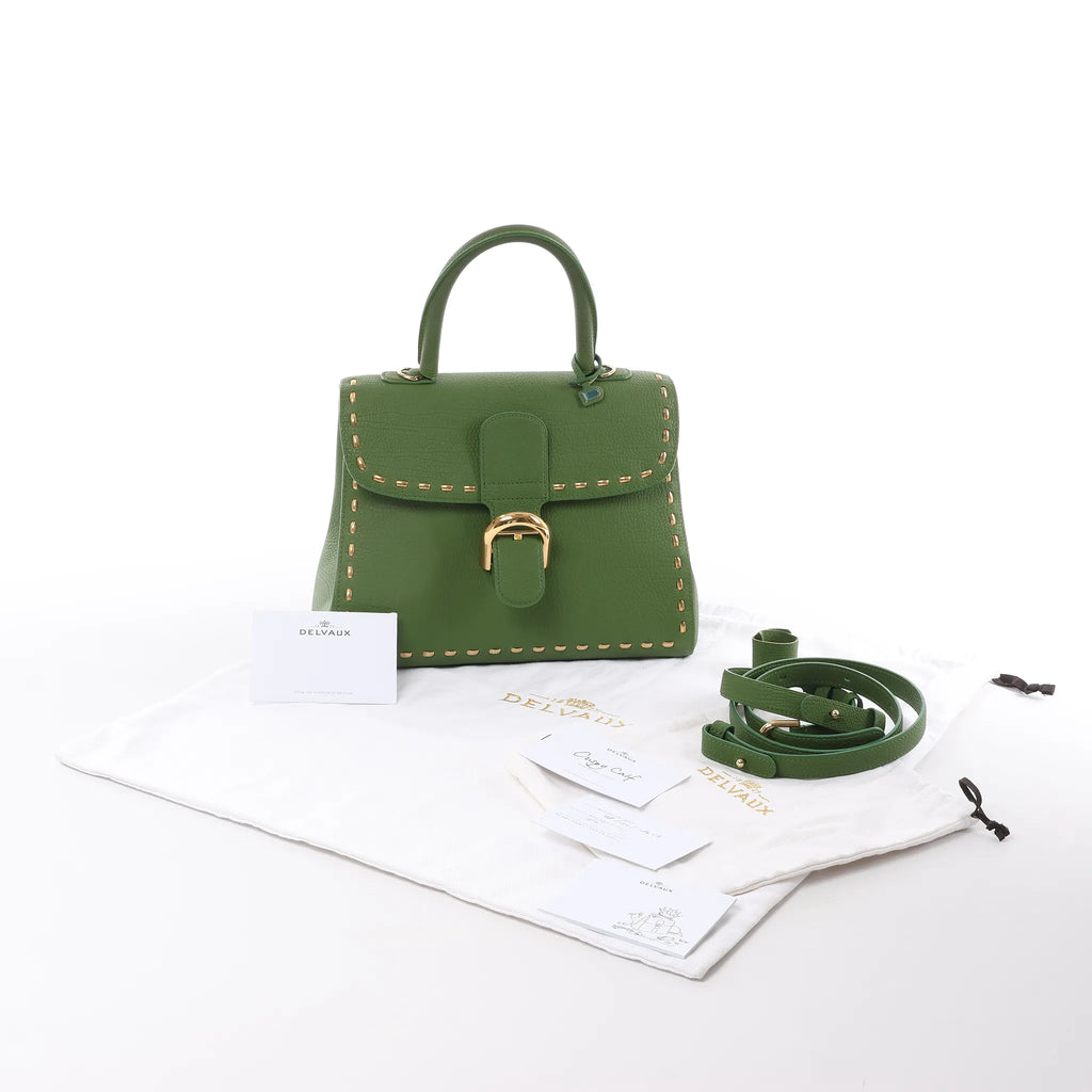 Delvaux Brillant MM Leather 2Way Handbag in Green