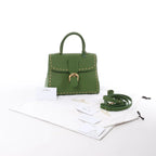 Delvaux Brillant MM Leather 2Way Handbag in Green