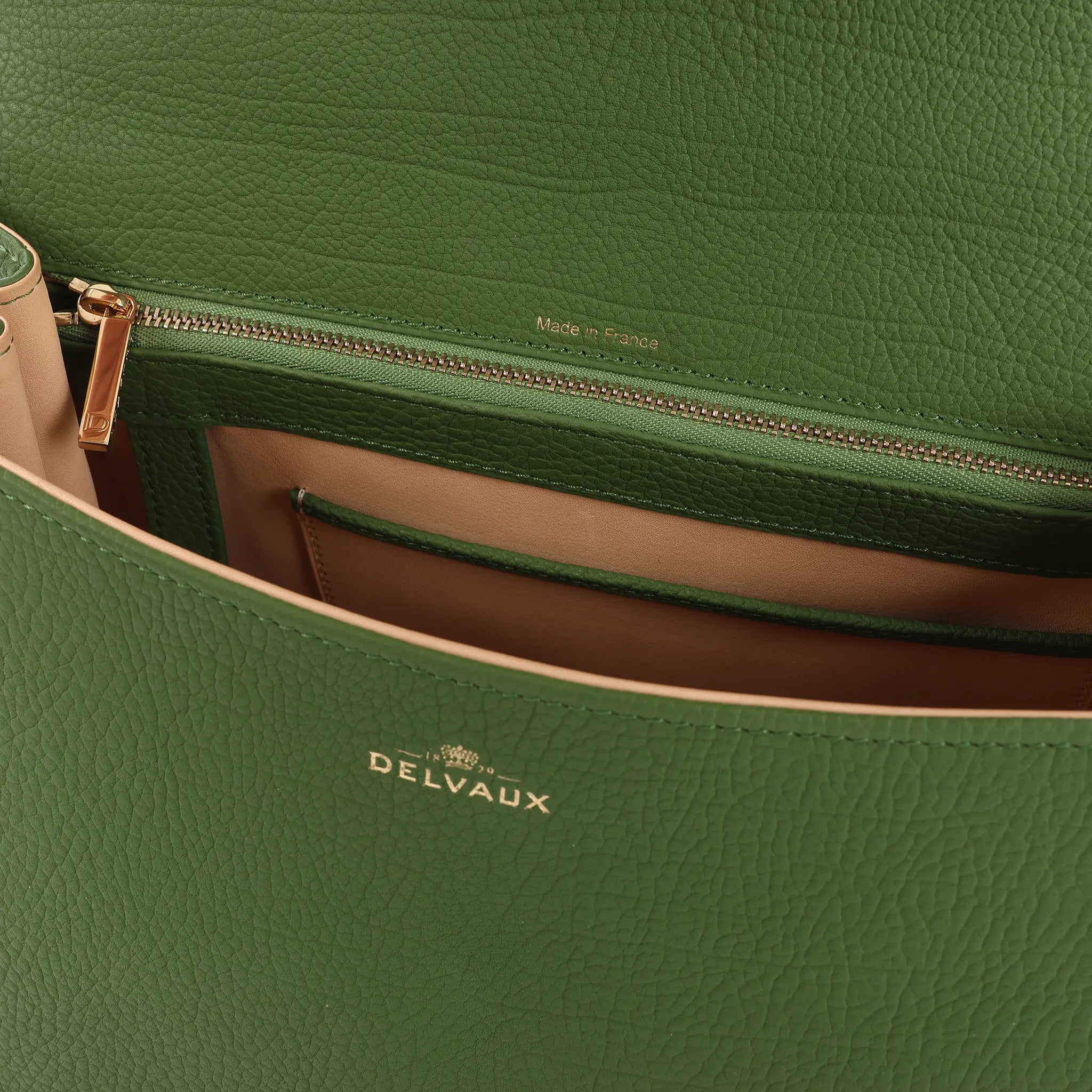 Delvaux Brillant MM Leather 2Way Handbag in Green