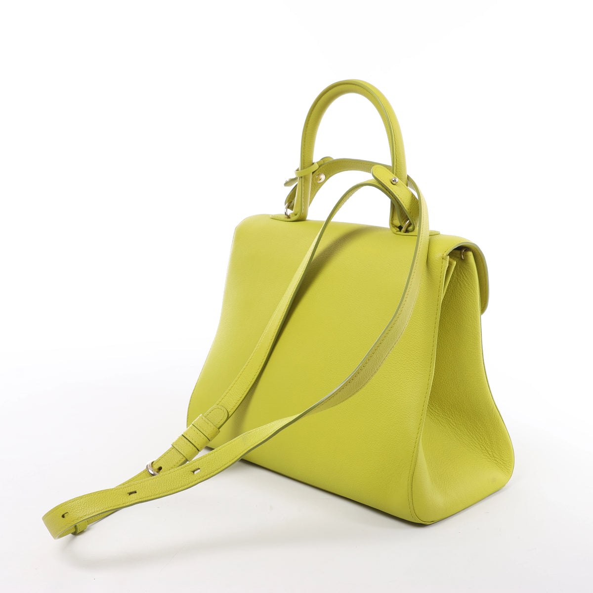 Delvaux Brillant MM Leather 2Way Handbag in Green