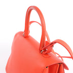 Delvaux Brillant MM Leather 2Way Handbag in Orange