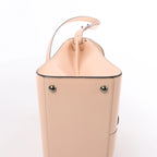 Delvaux Brillant MM Leather 2Way Handbag Pink