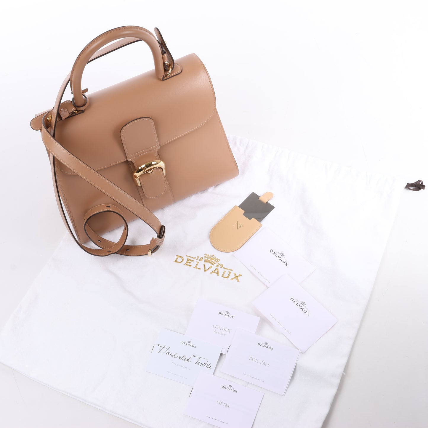 Sac à main double usage en cuir Delvaux Brillant MM beige