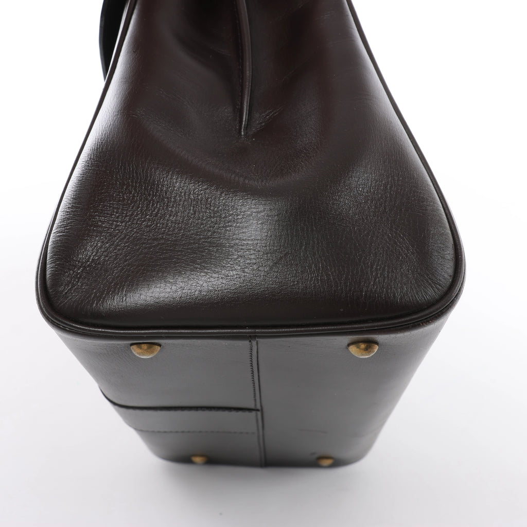 Delvaux Brillant MM Leather Handbag in Brown