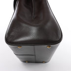 Delvaux Brillant MM Leather Handbag in Brown