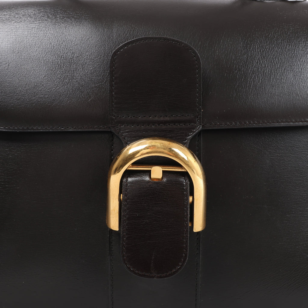Delvaux Brillant MM Leather Handbag in Brown