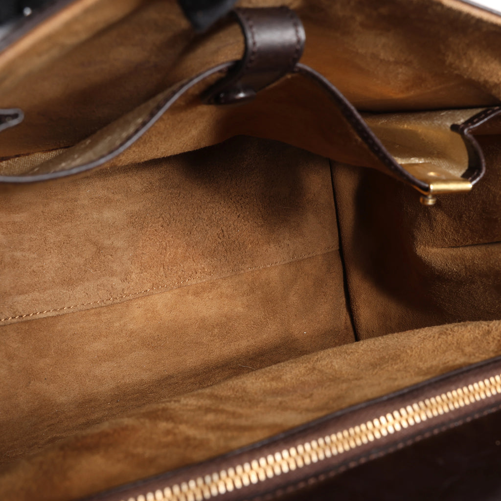 Delvaux Brillant MM Leather Handbag in Brown