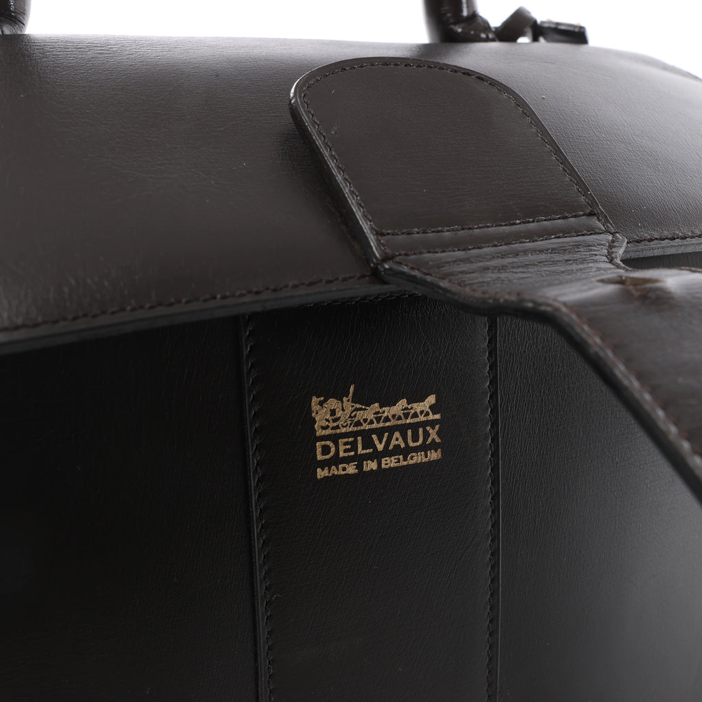 Delvaux Brillant MM Leather Handbag in Brown