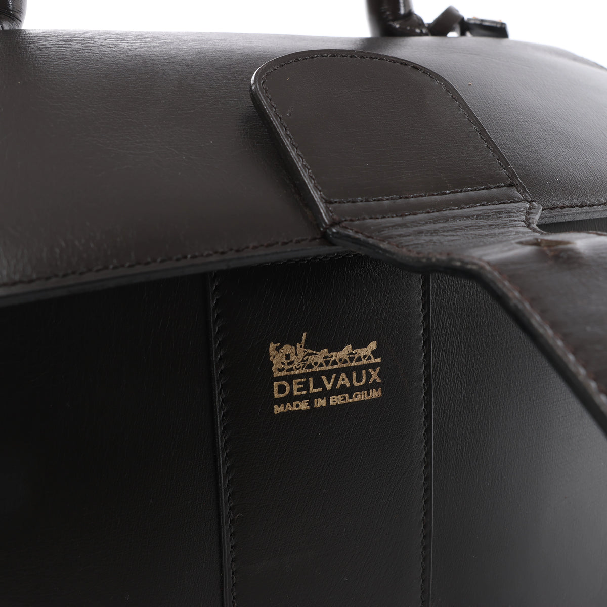 Delvaux Brillant MM Leather Handbag in Brown