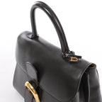 Delvaux Brillant MM Leather Handbag in Brown