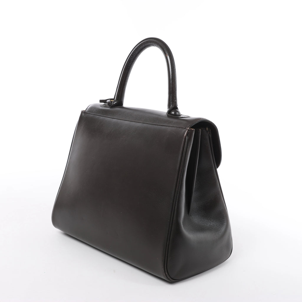 Delvaux Brillant MM Leather Handbag in Brown