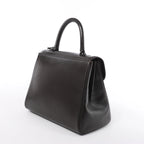 Delvaux Brillant MM Leather Handbag in Brown