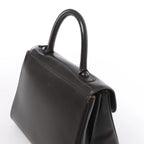 Delvaux Brillant MM Leather Handbag in Brown