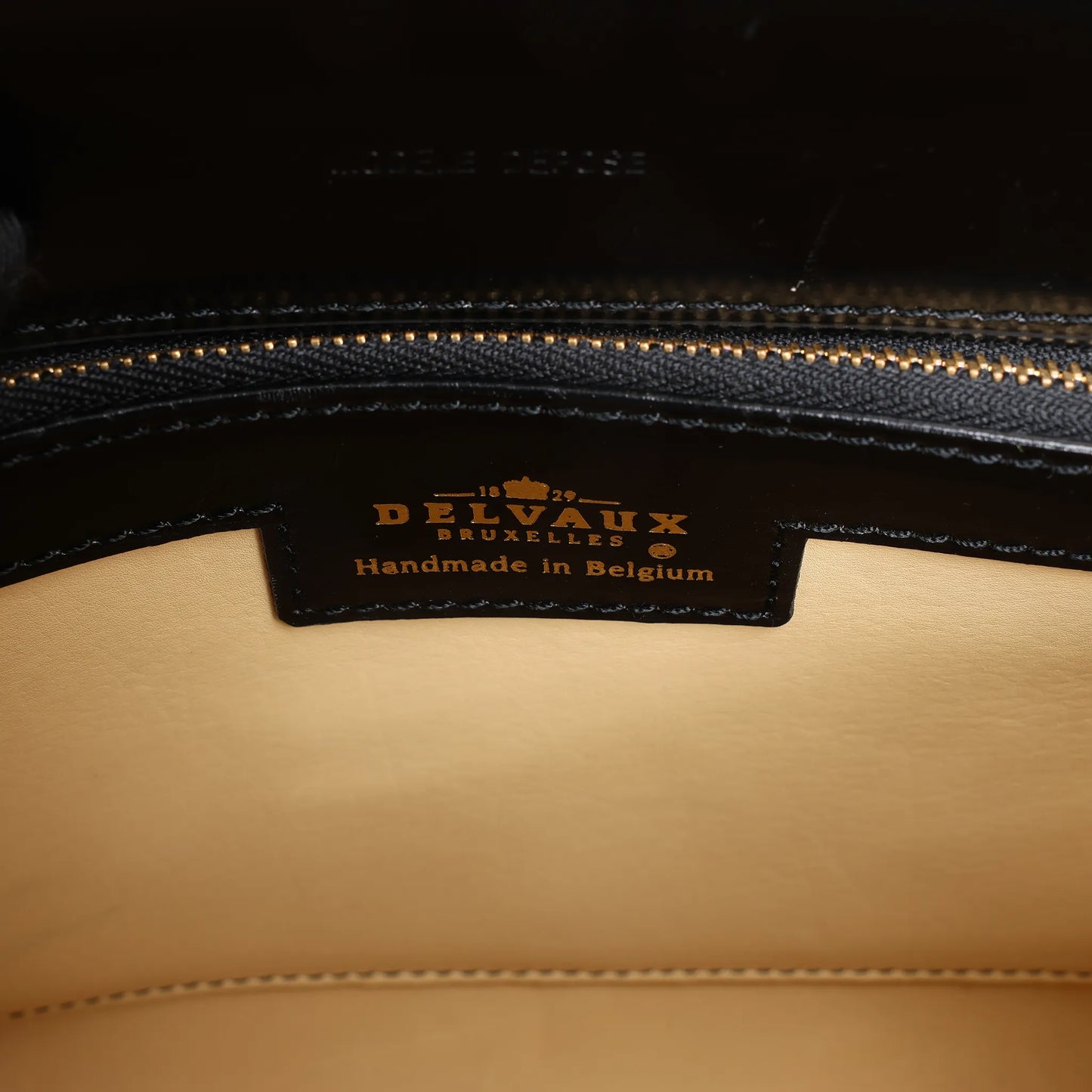 Delvaux Brillant PM Leather Handbag in Black