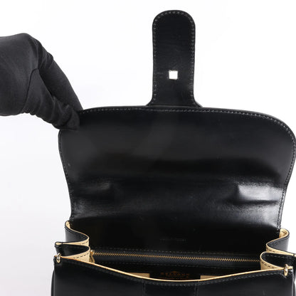 Delvaux Brillant PM Leather Handbag in Black