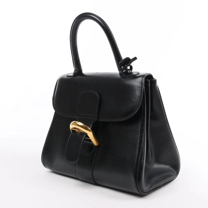 Delvaux Brillant PM Leather Handbag in Black