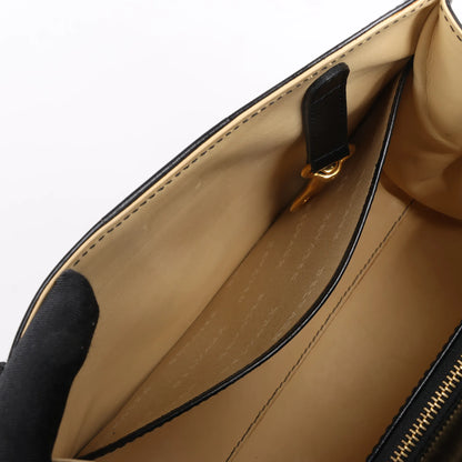 Delvaux Brillant PM Leather Handbag in Black