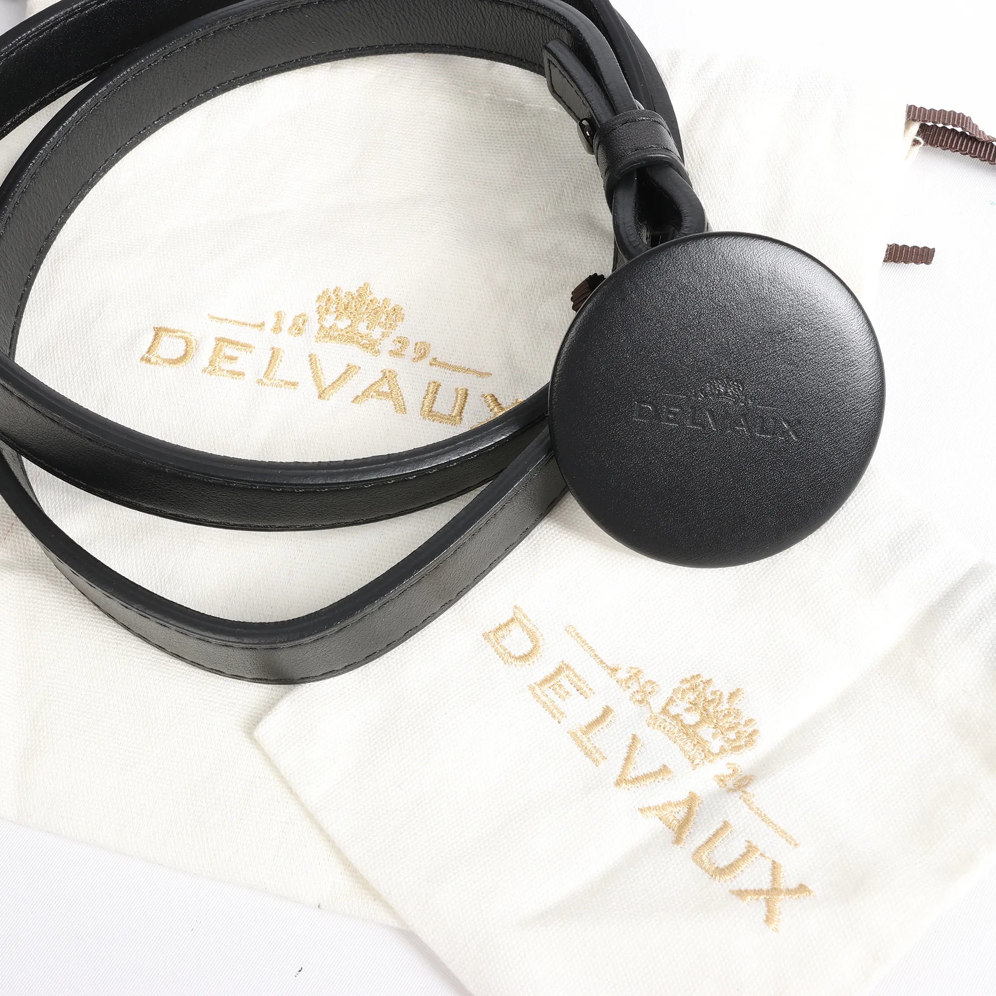 Delvaux Tempête GM Leather 2Way Handbag in Black