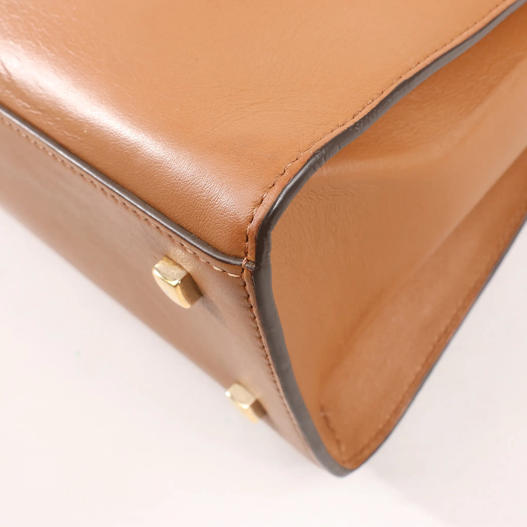 Delvaux Tempete MM Leather 2Way Handbag in Brown