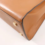 Delvaux Tempete MM Leather 2Way Handbag in Brown
