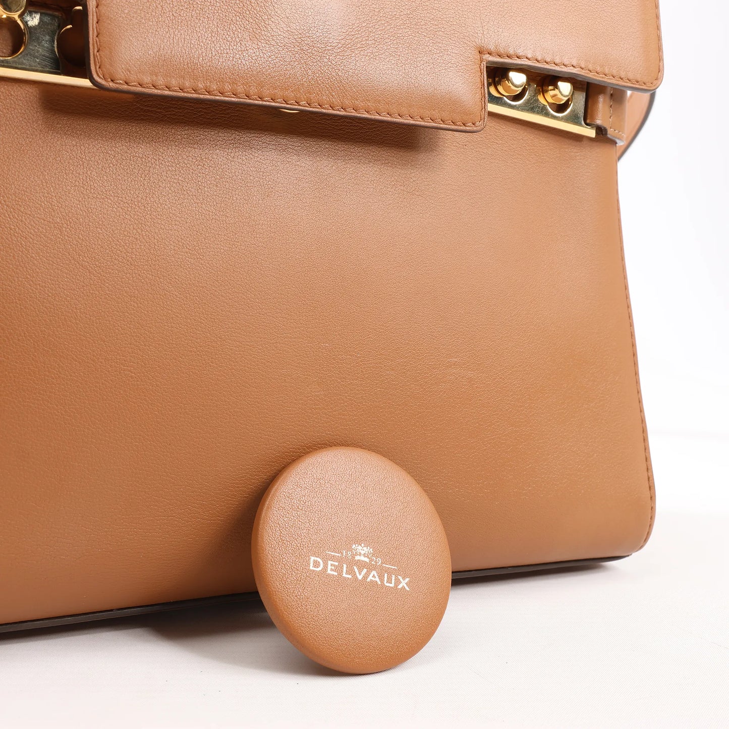 Delvaux Tempete MM Leather 2Way Handbag in Brown