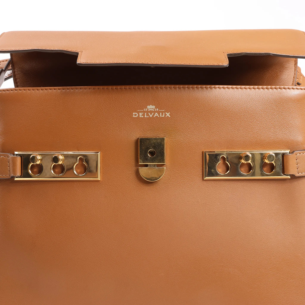 Delvaux Tempete MM Leather 2Way Handbag in Brown