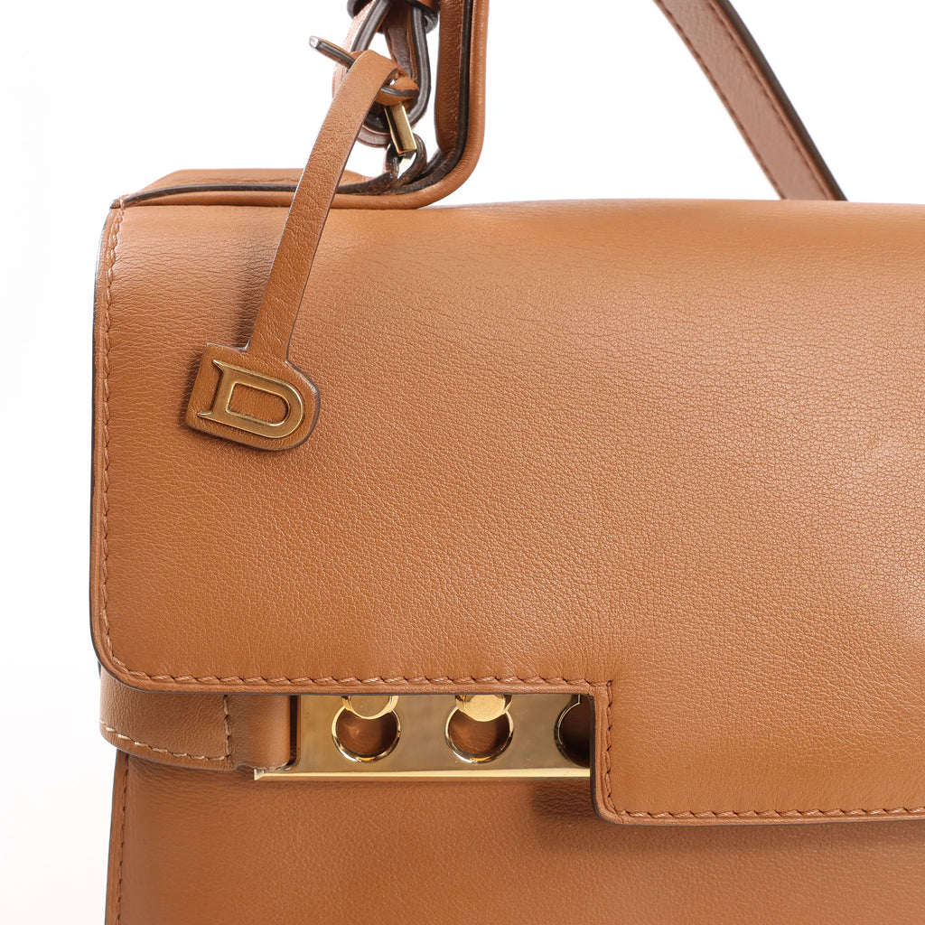 Delvaux Tempete MM Leather 2Way Handbag in Brown