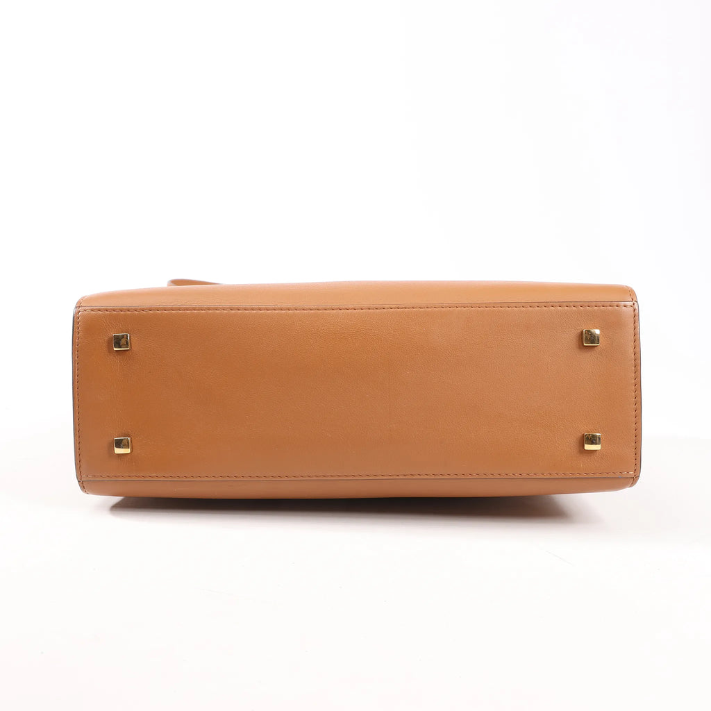 Delvaux Tempete MM Leather 2Way Handbag in Brown