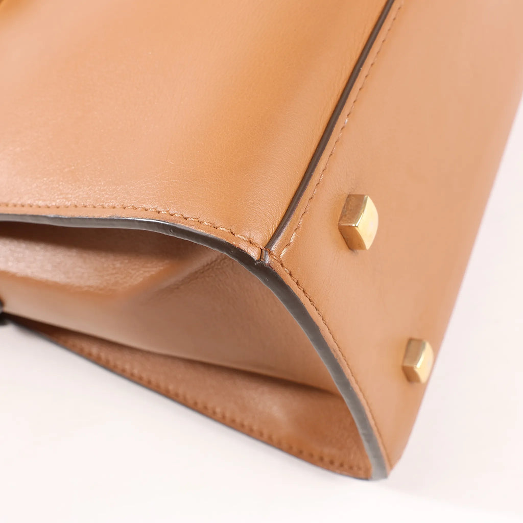 Delvaux Tempete MM Leather 2Way Handbag in Brown