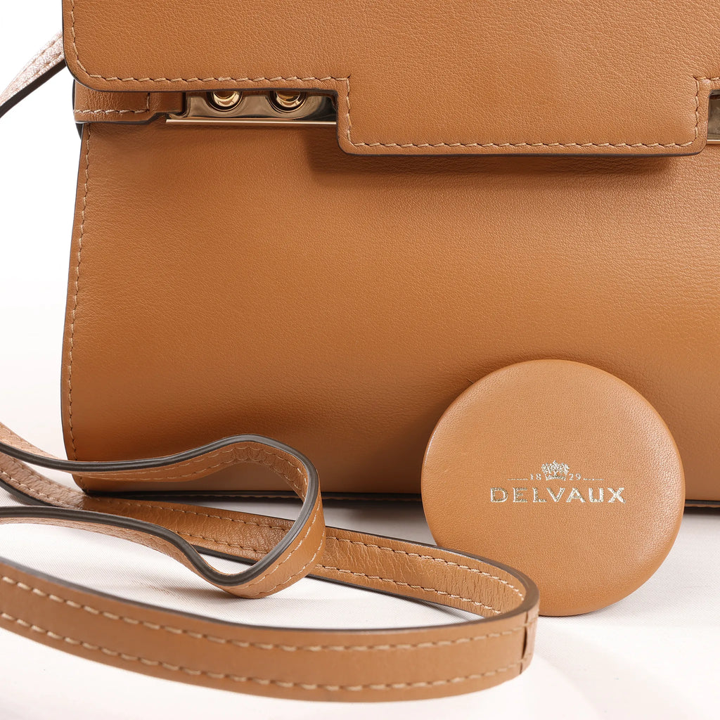 Delvaux Tempête PM Leather 2Way Handbag in Brown