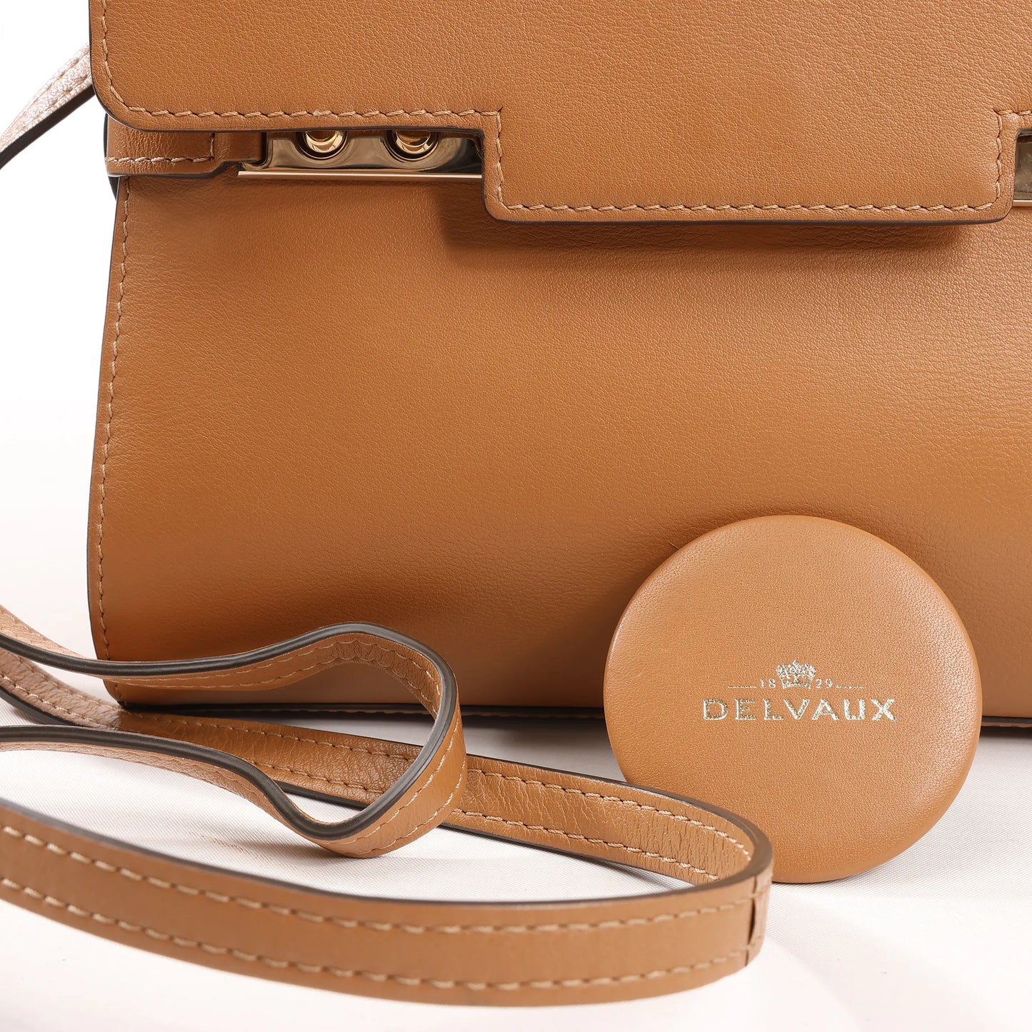 Delvaux Tempête PM Leather 2Way Handbag in Brown