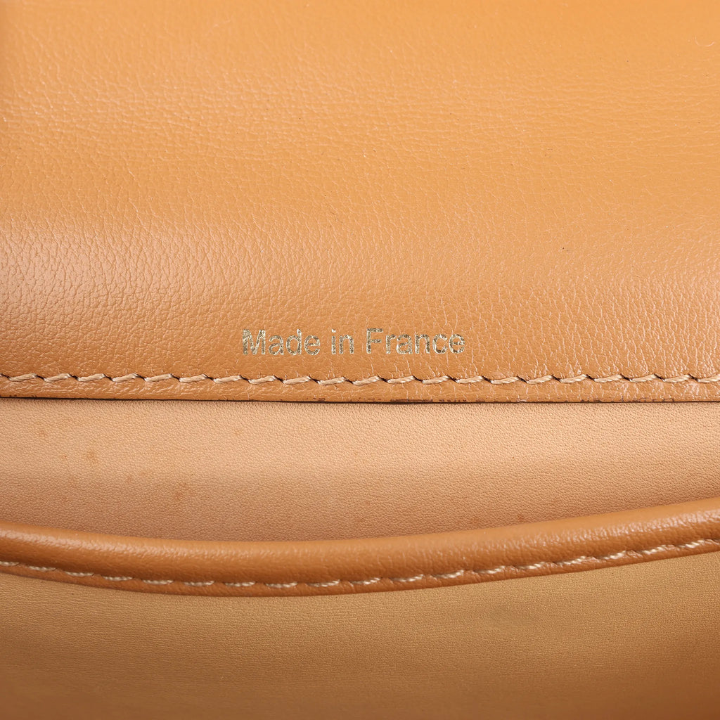 Delvaux Tempête PM Leather 2Way Handbag in Brown