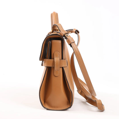 Delvaux Tempête PM Leather 2Way Handbag in Brown