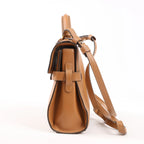 Delvaux Tempête PM Leather 2Way Handbag in Brown