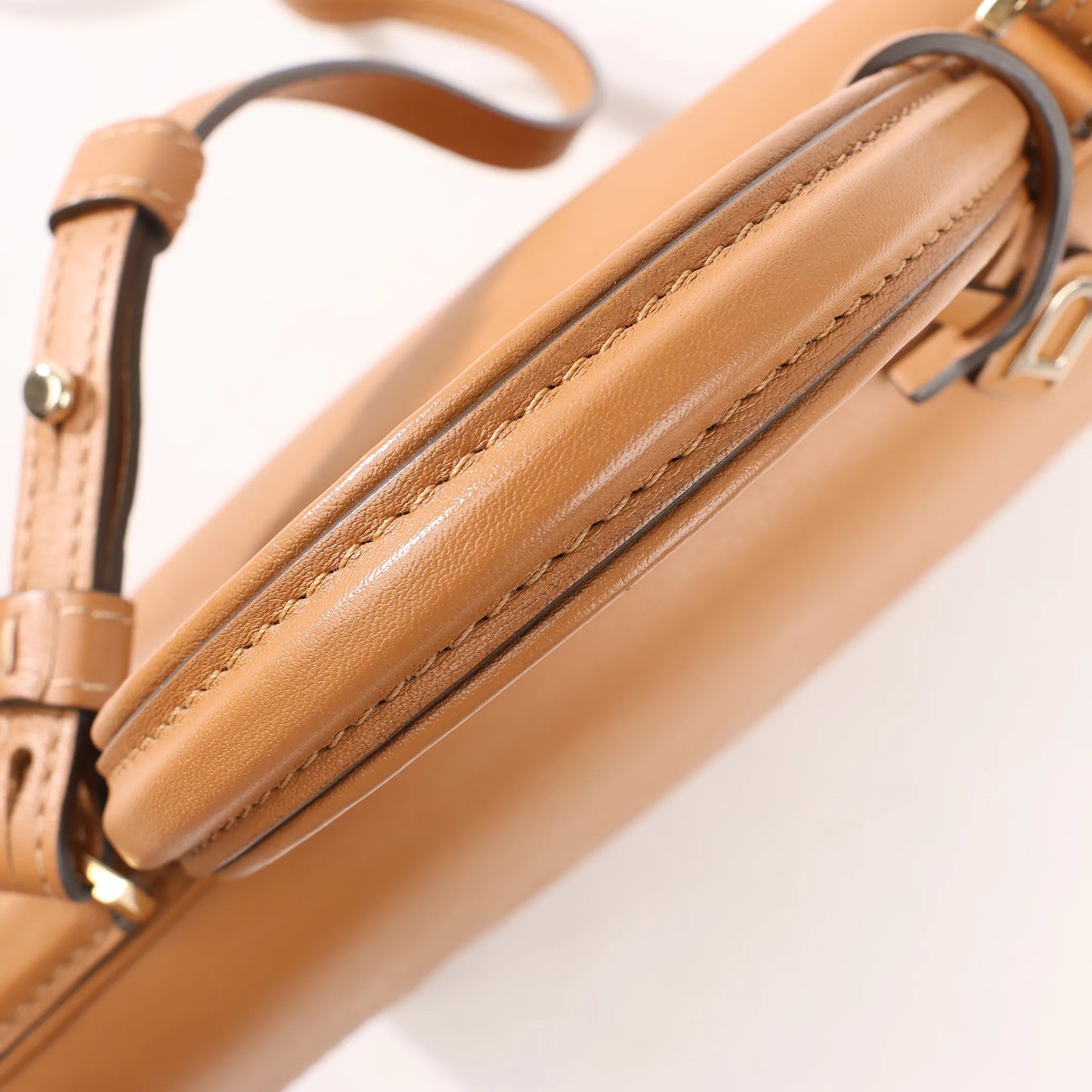 Delvaux Tempête PM Leather 2Way Handbag in Brown