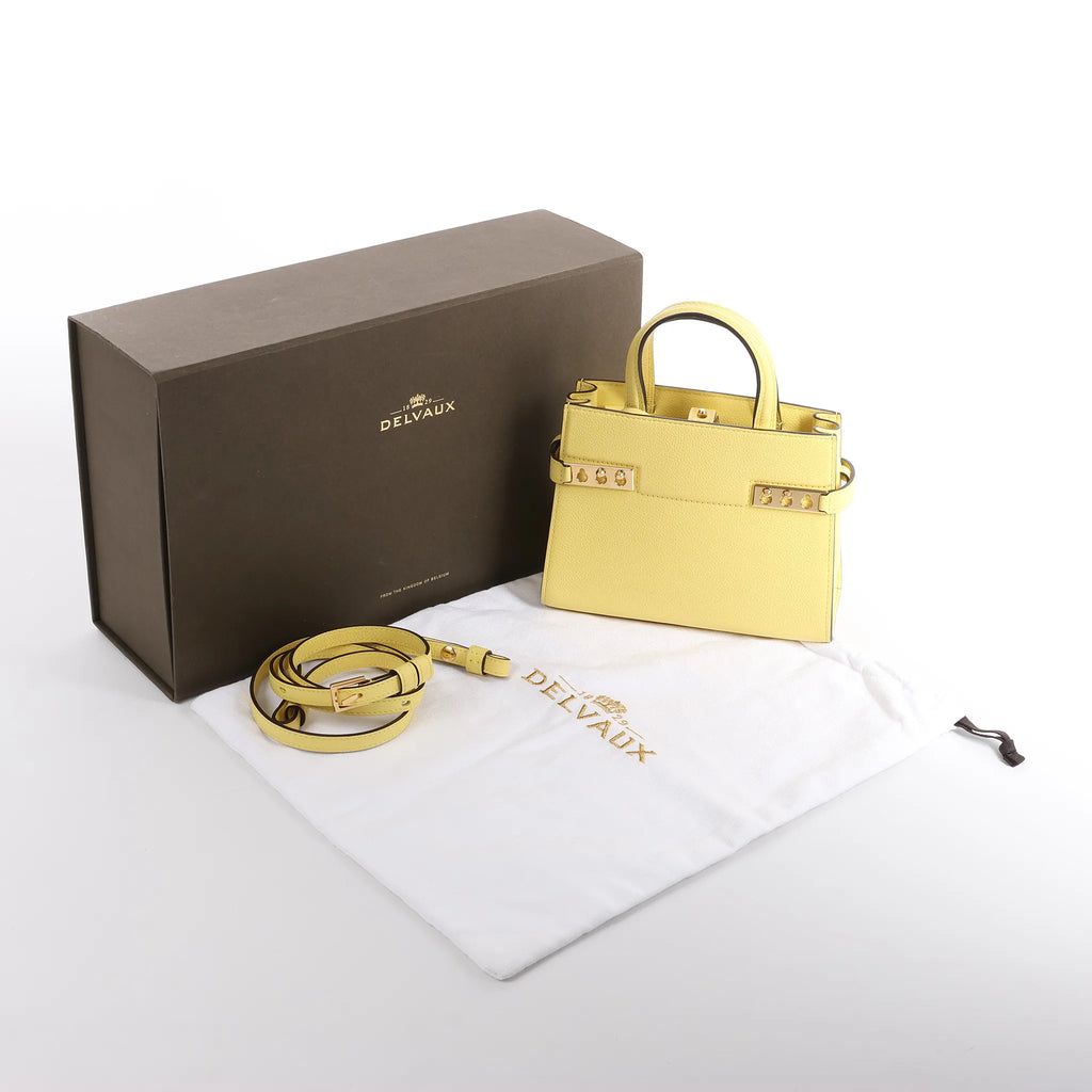 Delvaux Tempête PM Leather 2Way Crossbody Bag in Yellow