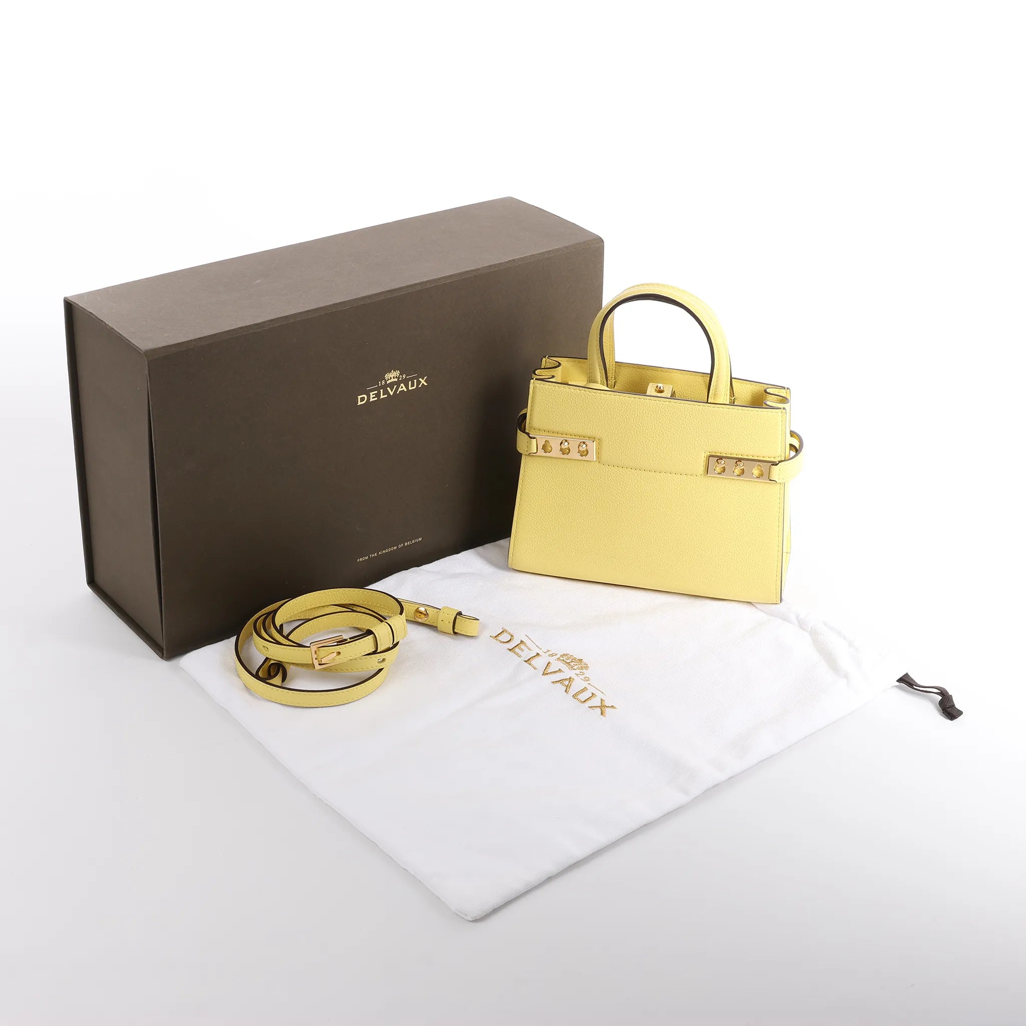 Delvaux Tempête PM Leather 2Way Crossbody Bag in Yellow
