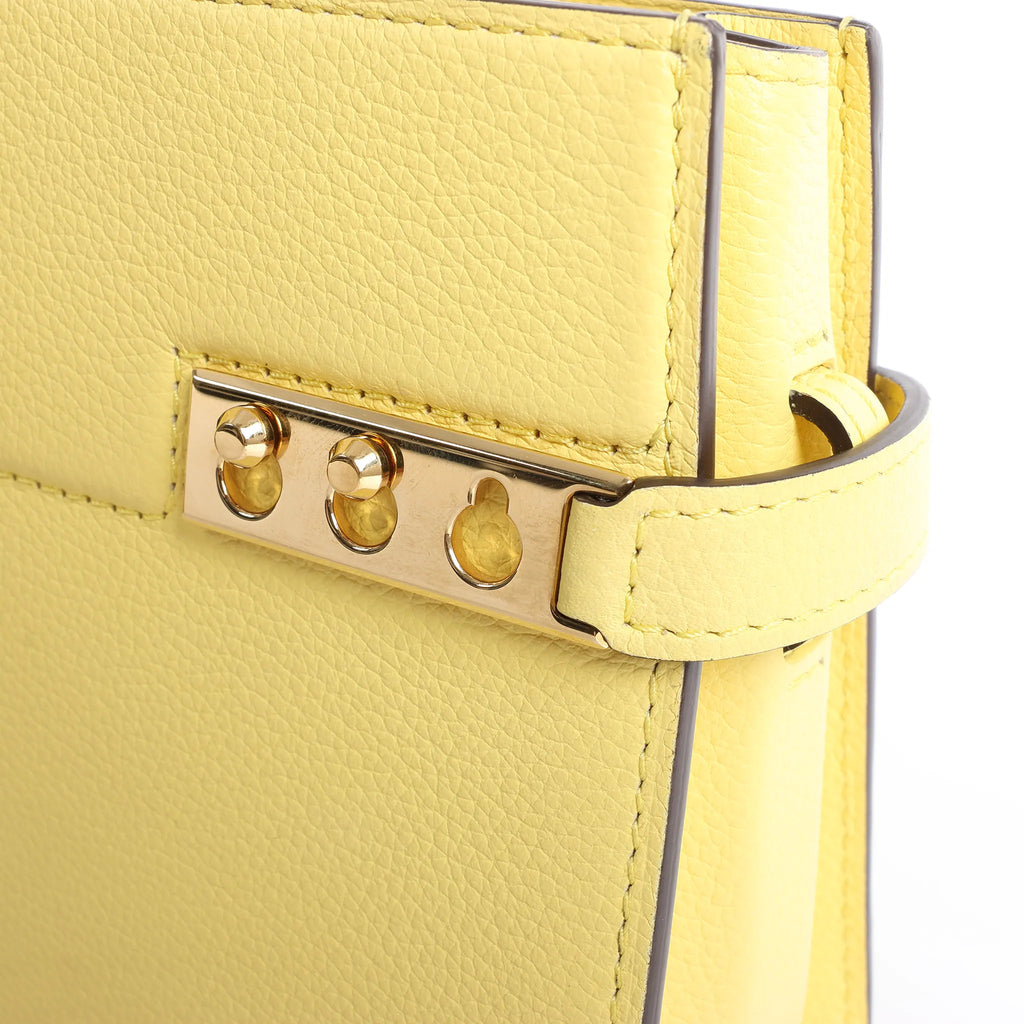 Delvaux Tempête PM Leather 2Way Crossbody Bag in Yellow