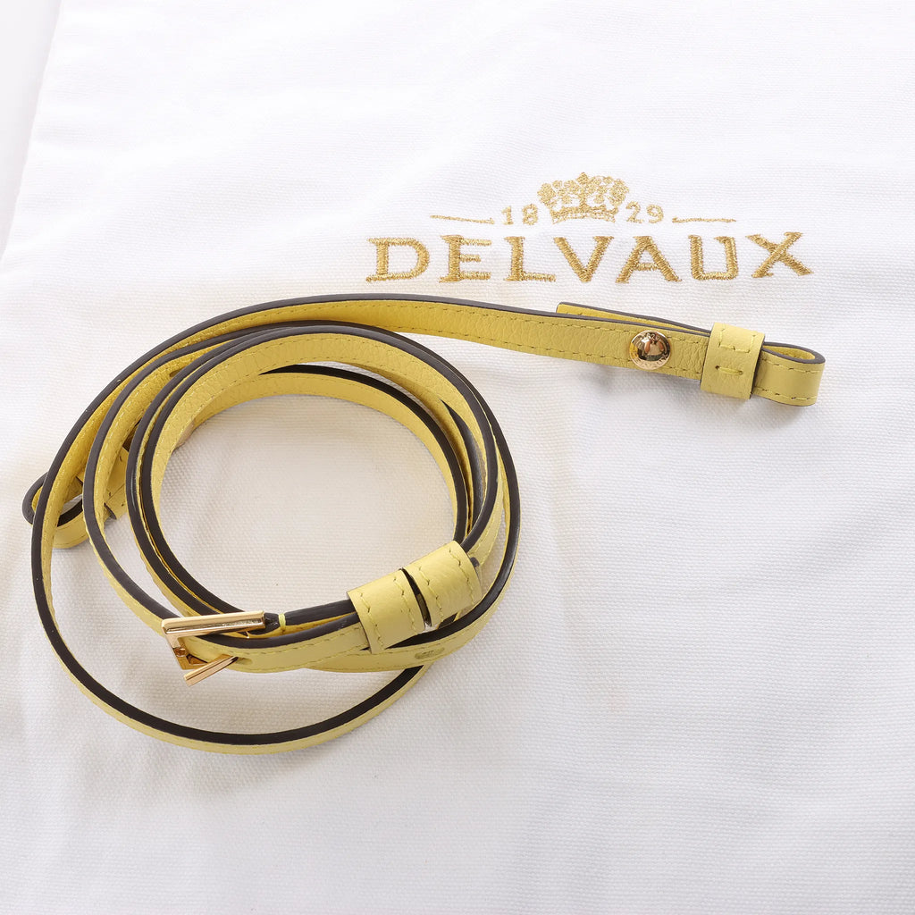 Delvaux Tempête PM Leather 2Way Crossbody Bag in Yellow