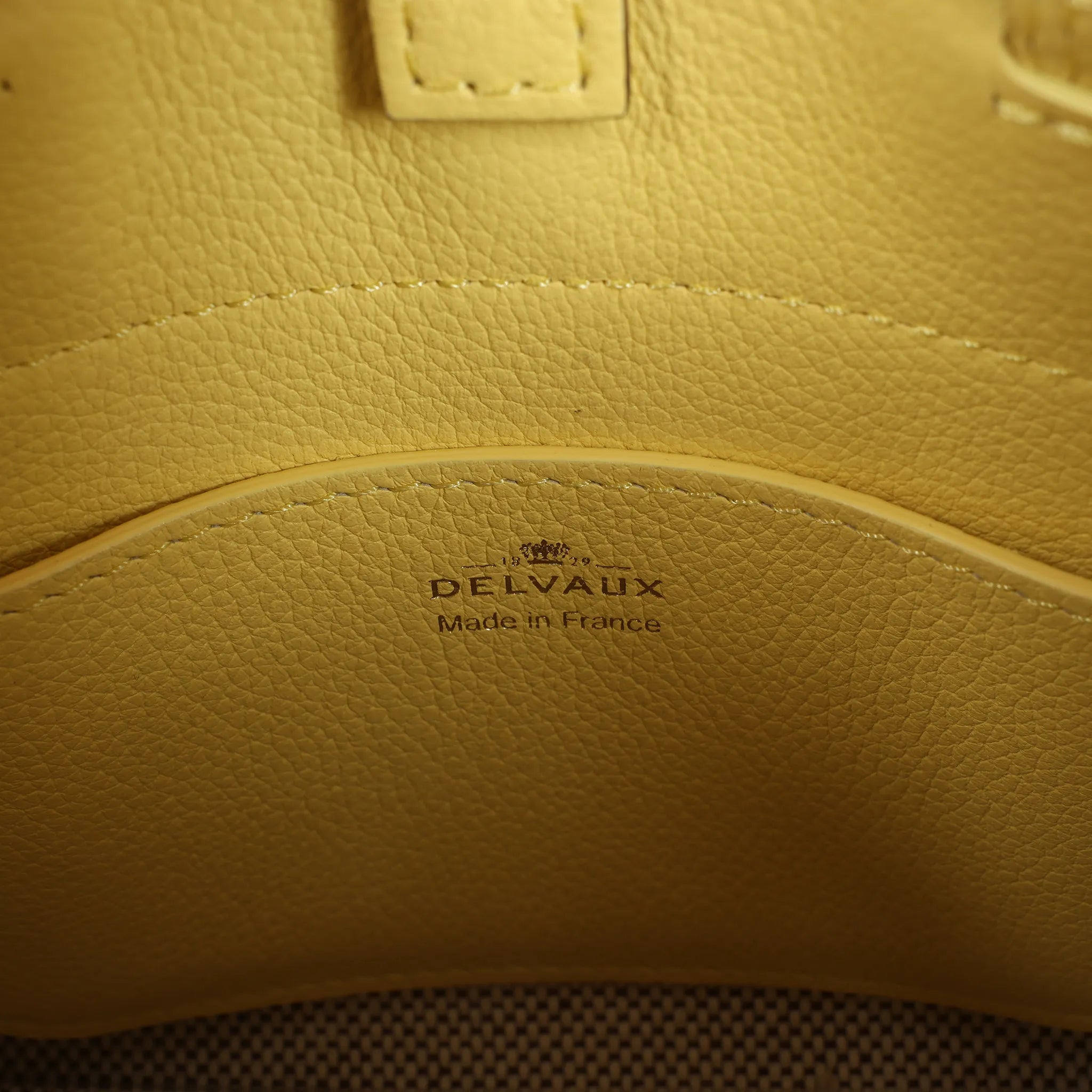 Delvaux Tempête PM Leather 2Way Crossbody Bag in Yellow
