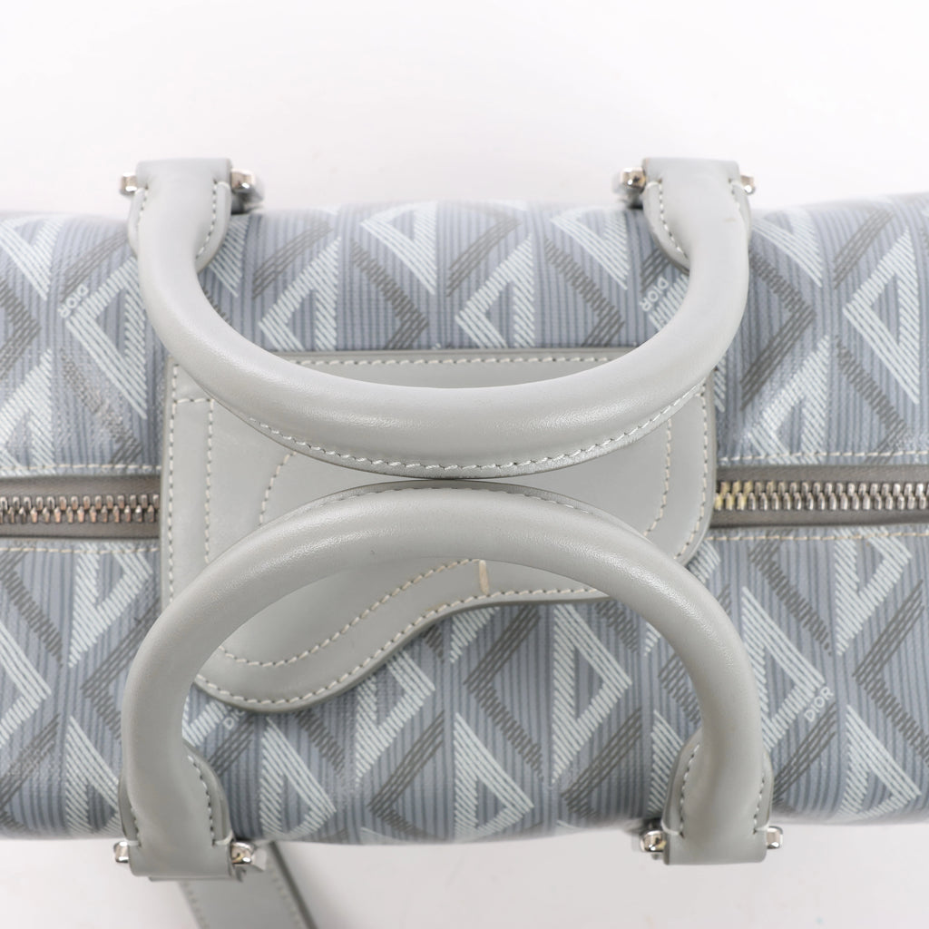 Dior CD diamond PVC & Leather 2Way Handbag in Gray