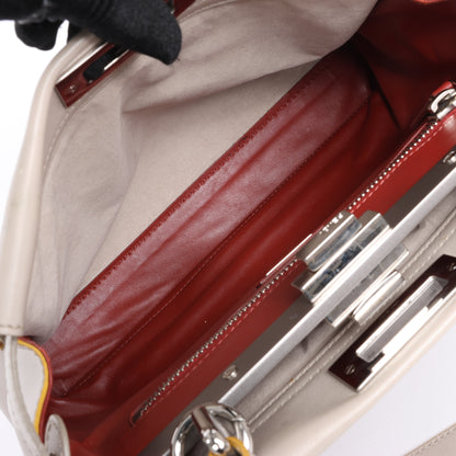 Fendi Peekaboo Regular Leather 2Way Handbag in Gray