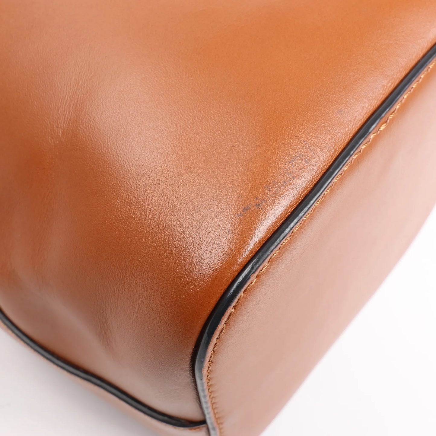 Fendi Mon Tresor Mini 2Way Shoulder Bag in Brown 8BS010