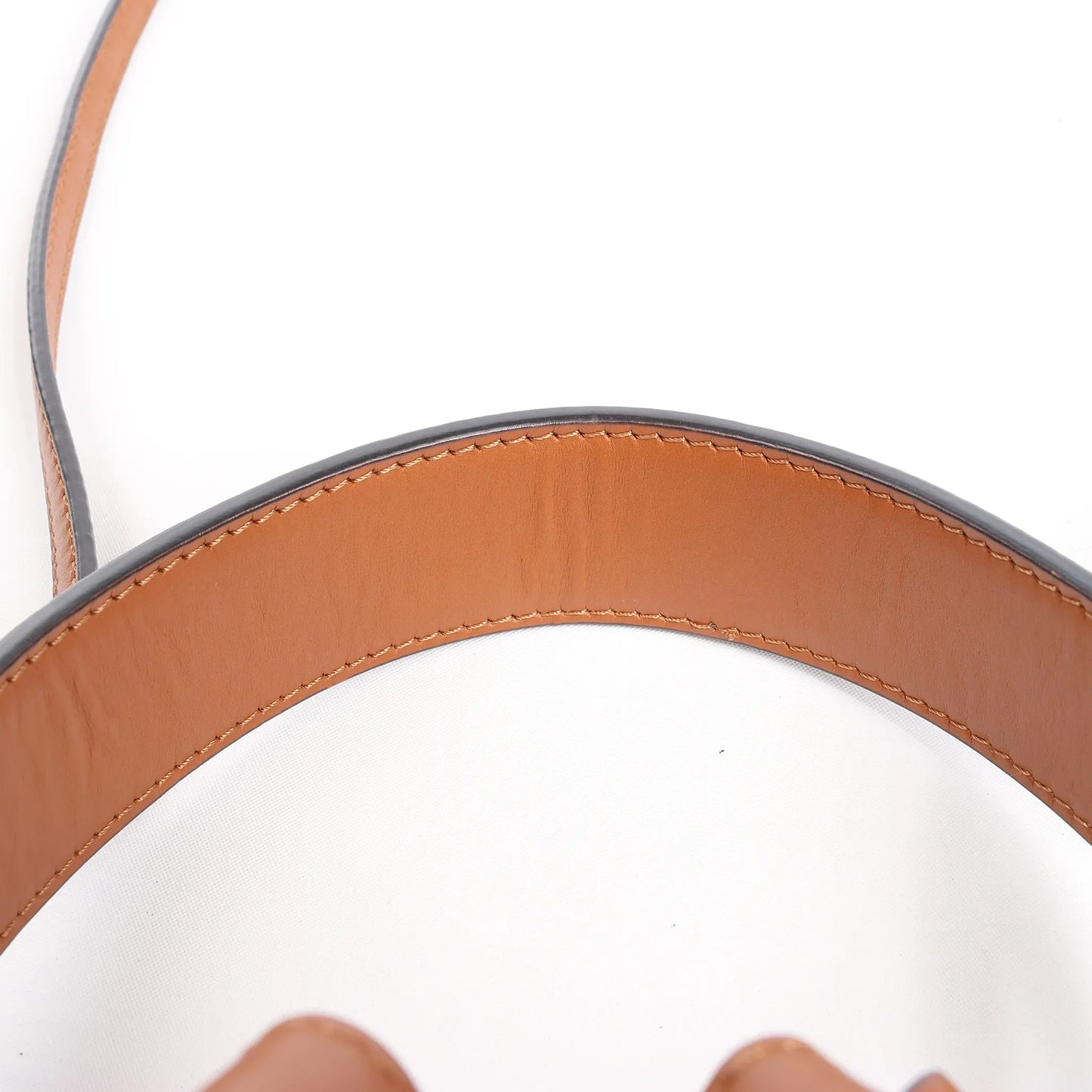 Fendi Mon Tresor Mini 2Way Shoulder Bag in Brown 8BS010