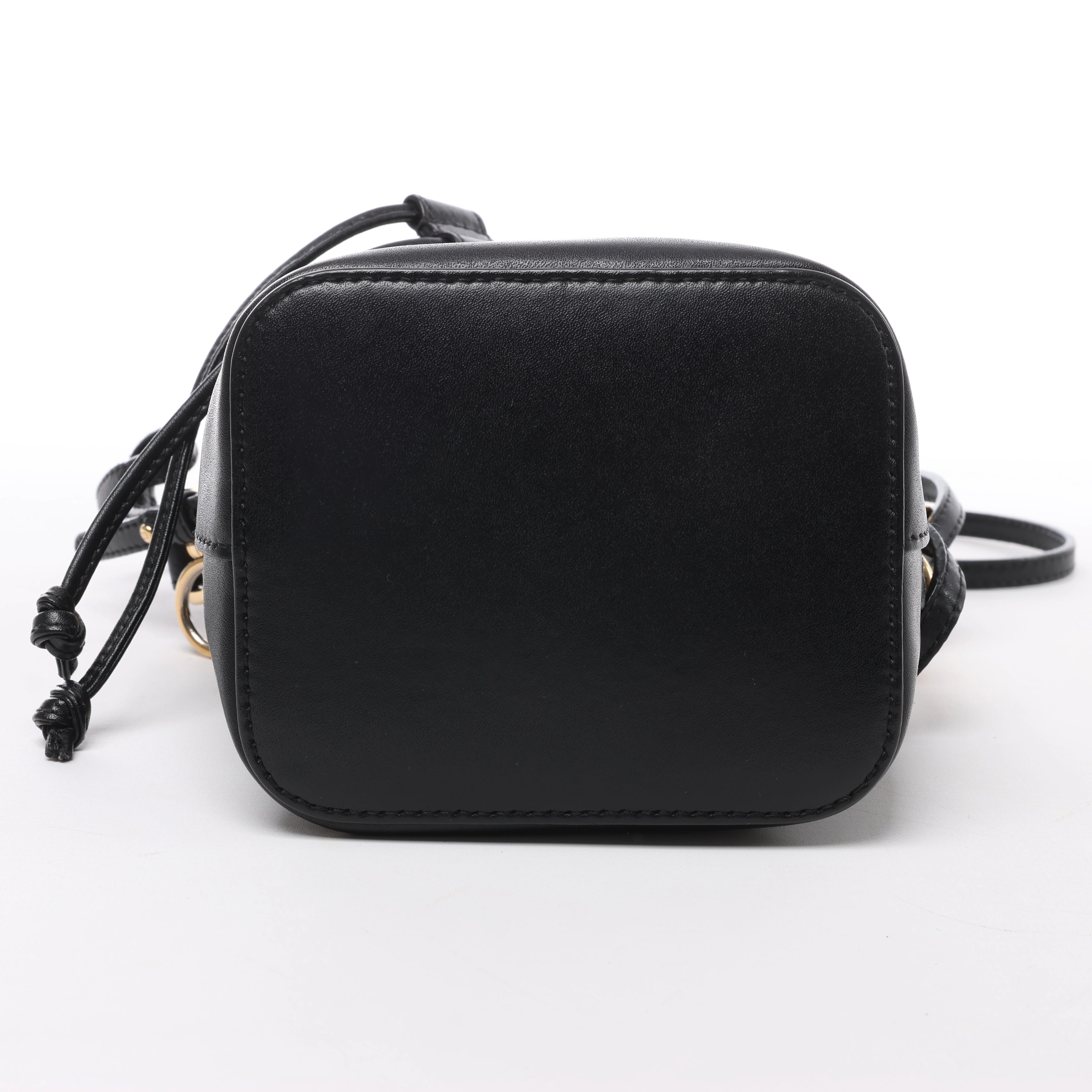 Fendi Mon Tresor Mini Leather 2Way Crossbody Bag in Black 8BS010