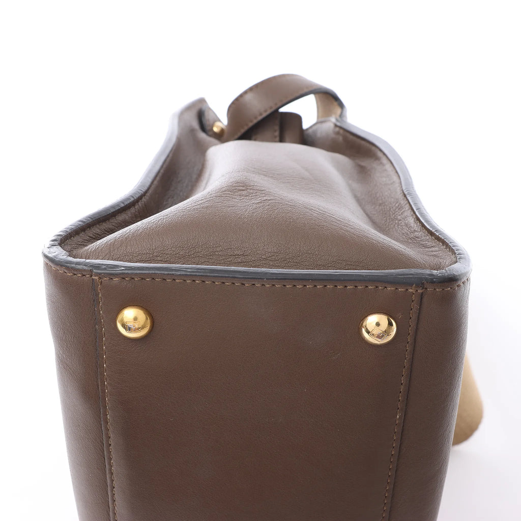 Fendi Peekaboo X-light Leather 2Way Handbag in Brown 8BN310